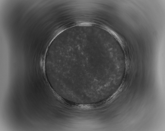 X0000093461194200711091544