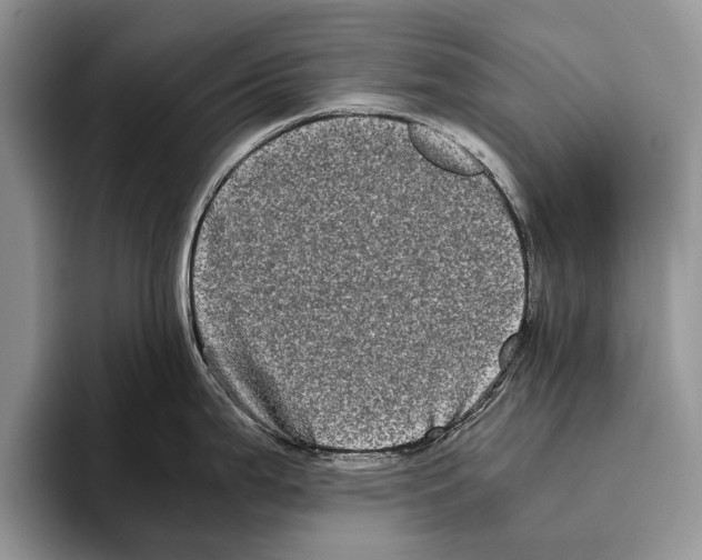 X0000093461199200711091544