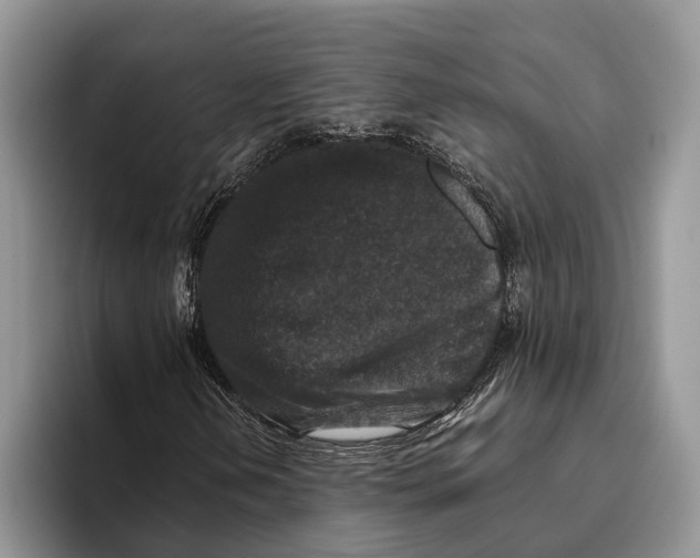X0000093461202200711091543