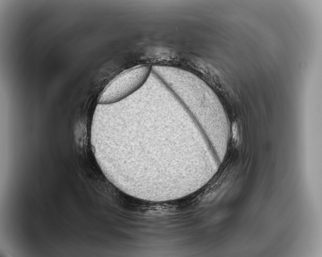 X0000093461203200711091543