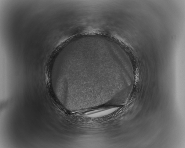 X0000093461206200711091543