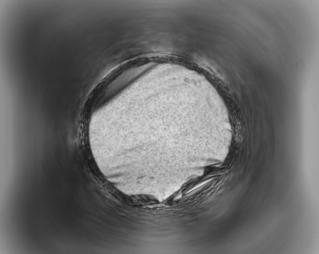 X0000093461208200711091543
