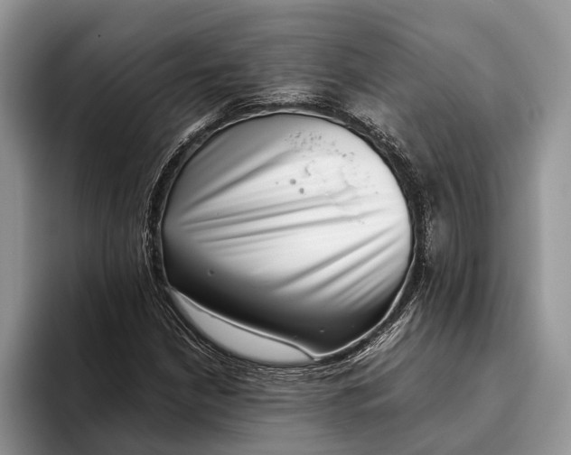 X0000093461210200711091543