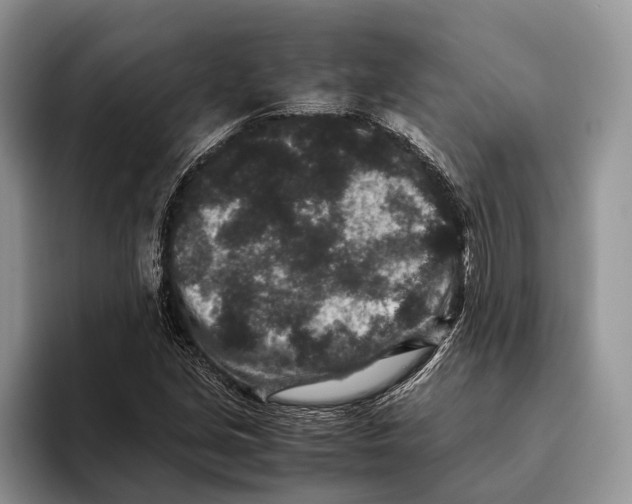X0000093461213200711091543