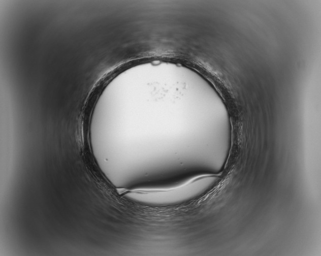 X0000093461214200711091543