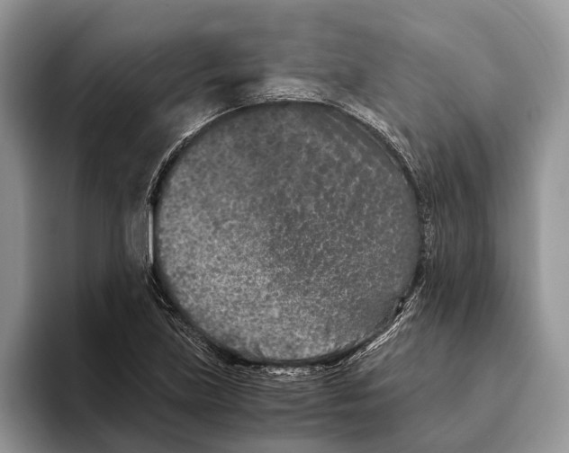 X0000093461219200711091543