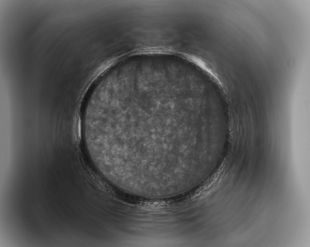 X0000093461221200711091543