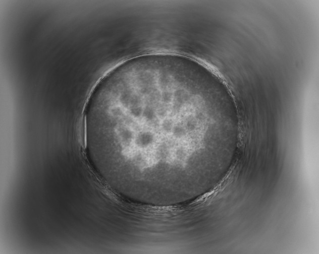 X0000093461223200711091543