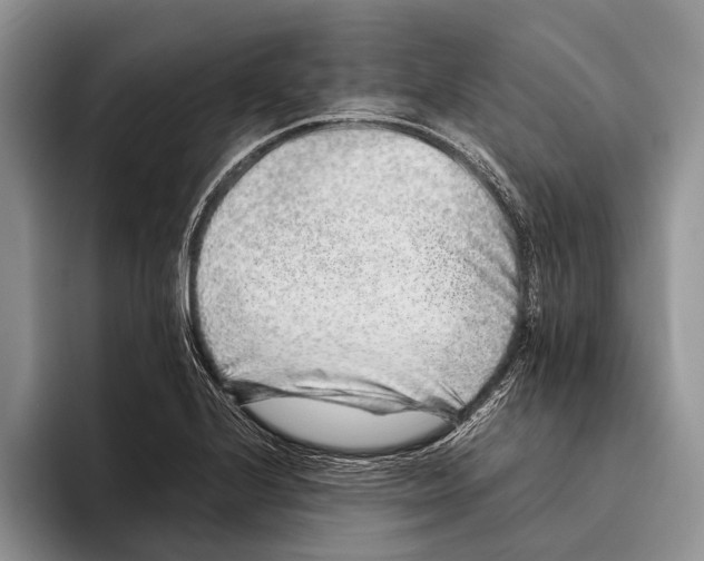 X0000093461224200711091543