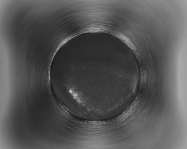 X0000093461226200711091543