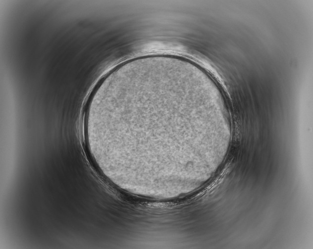 X0000093461227200711091543