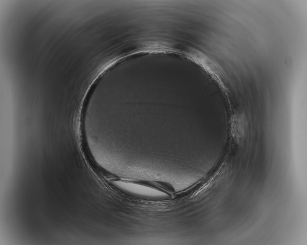 X0000093461229200711091543