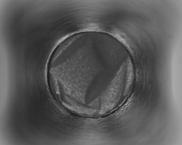 X0000093461230200711091543