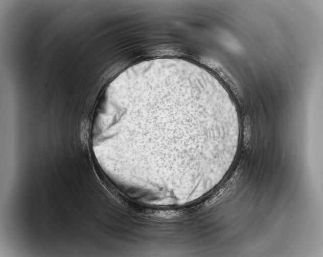 X0000093461233200711091543