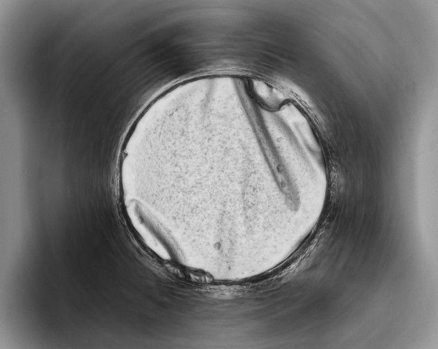 X0000093461236200711091543