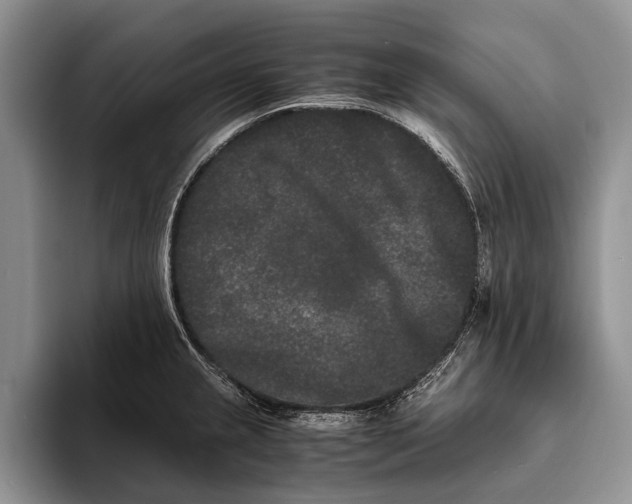 X0000093461237200711091543