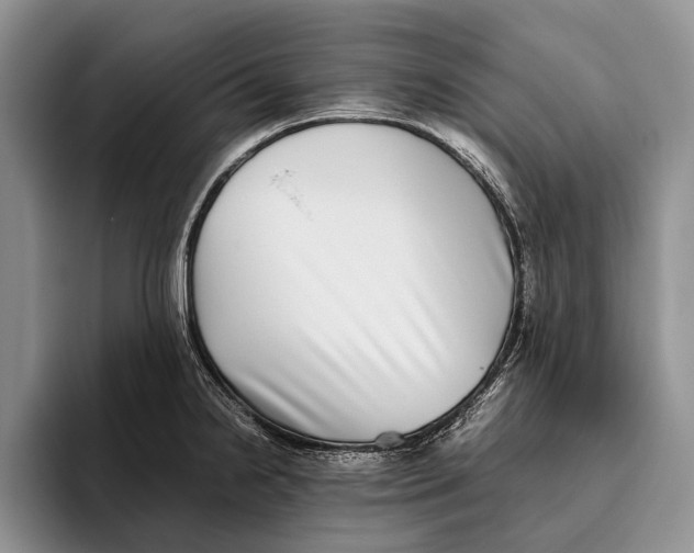 X0000093461238200711091543