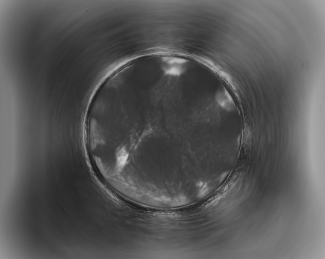 X0000093461239200711091543