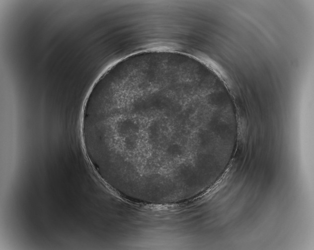 X0000093461240200711091544