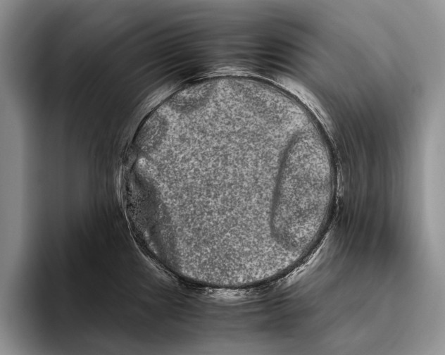 X0000093461241200711091544