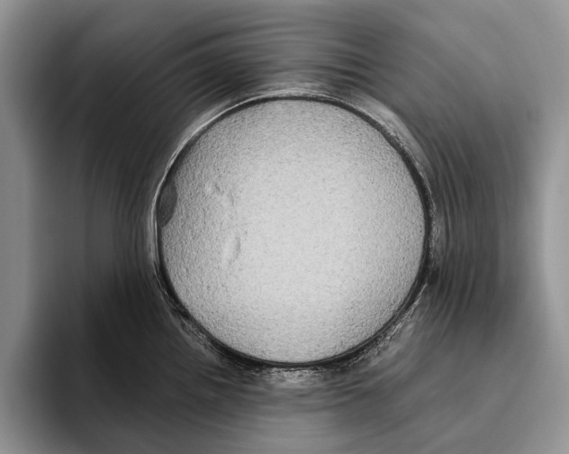 X0000093461242200711091544
