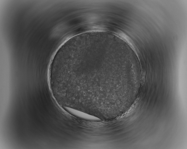 X0000093461243200711091544
