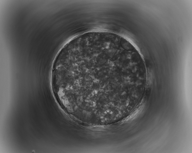 X0000093461245200711091544