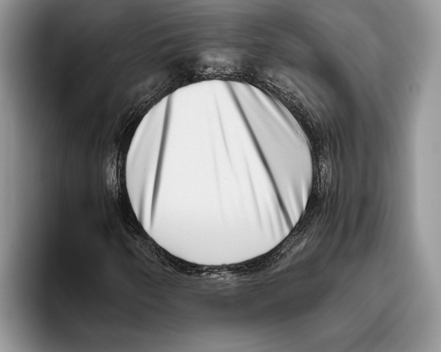 X0000093461250200711091543