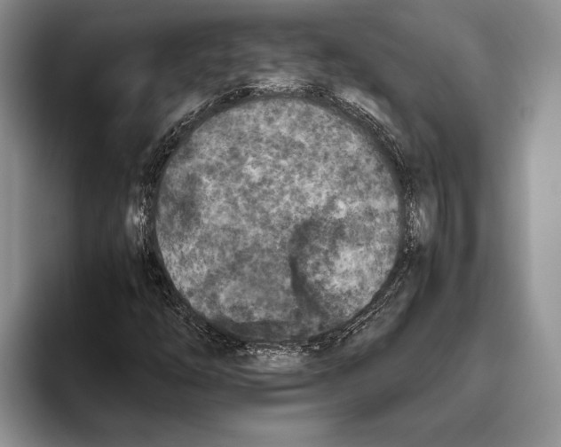 X0000093461254200711091543