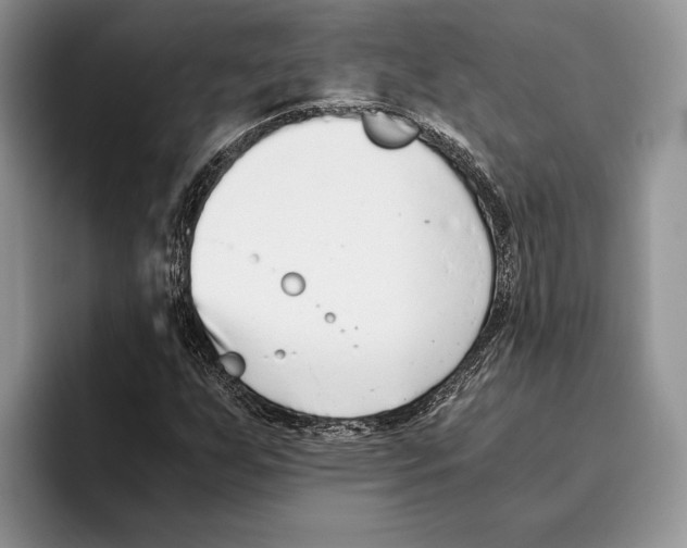 X0000093461255200711091543