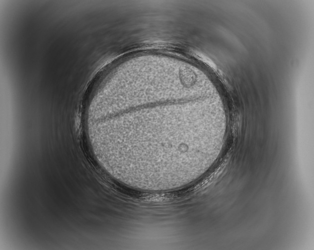 X0000093461259200711091543