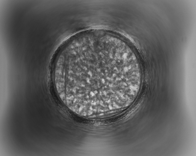 X0000093461263200711091543