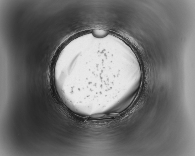 X0000093461264200711091543