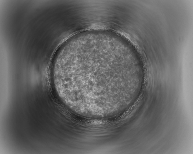 X0000093461266200711091543