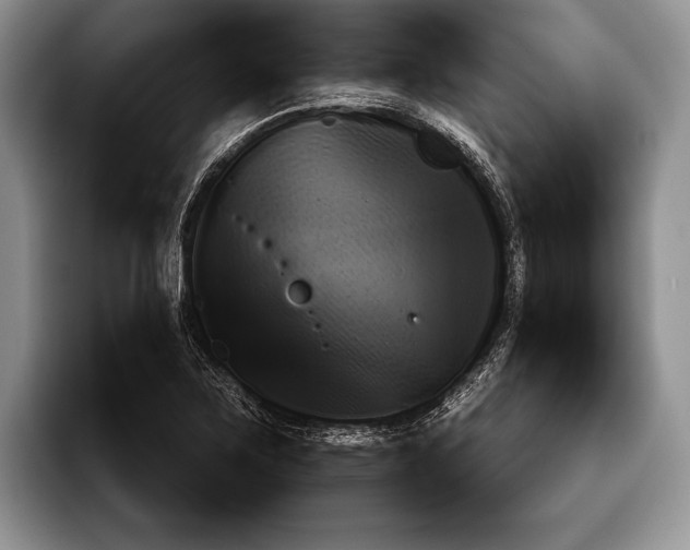 X0000093461267200711091543