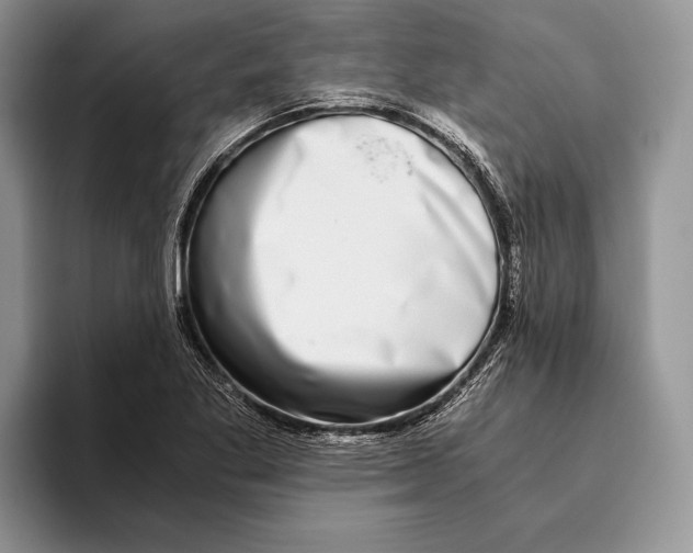 X0000093461269200711091543
