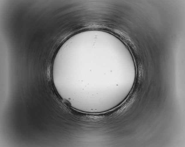 X0000093461273200711091543