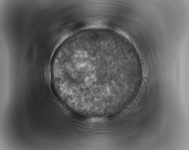 X0000093461274200711091543