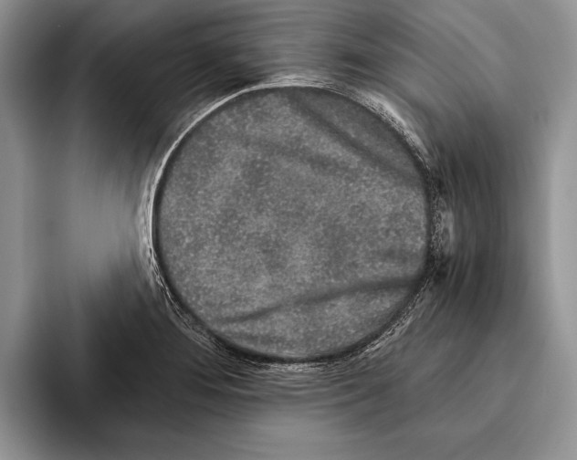 X0000093461276200711091543