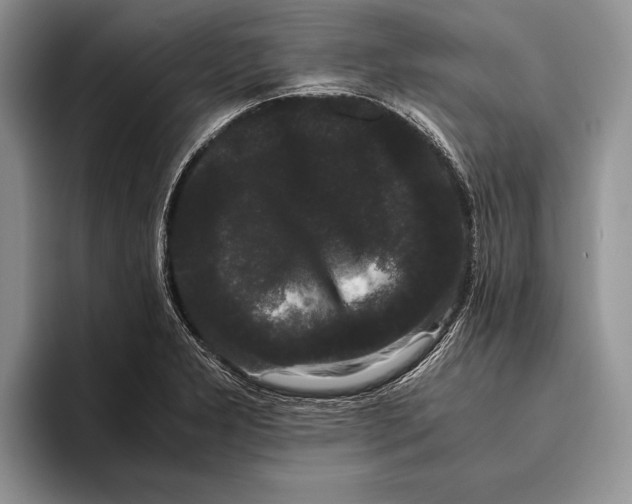 X0000093461277200711091543