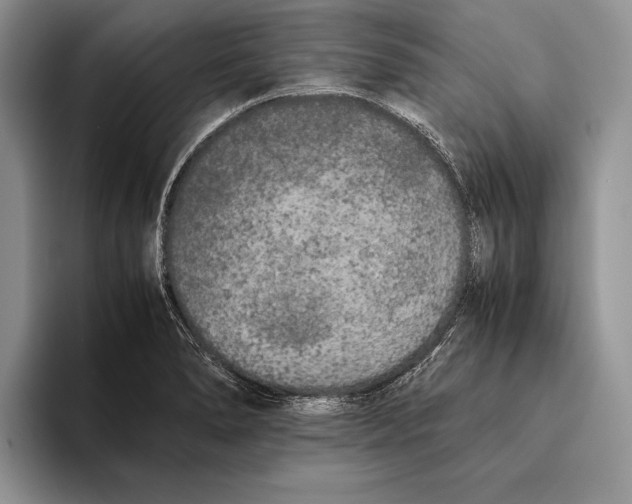 X0000093461278200711091543