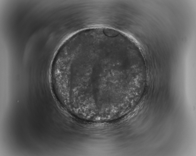 X0000093461279200711091543