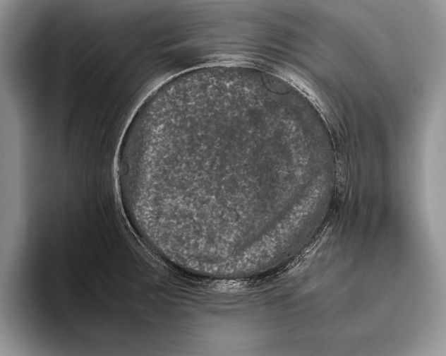 X0000093461283200711091543