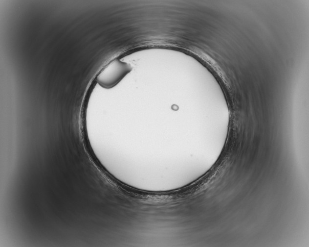 X0000093461285200711091543
