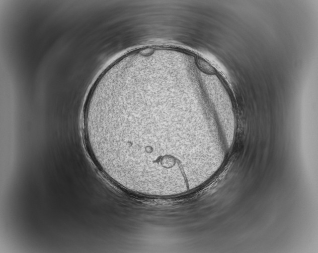 X0000093461287200711091543