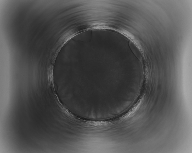 X0000093461289200711091543