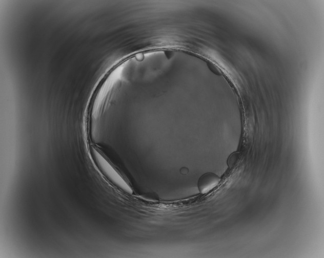 X0000093461291200711091543