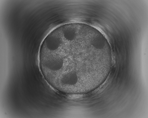 X0000093461294200711091543