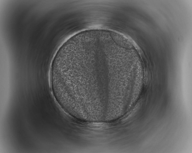 X0000093461295200711091543
