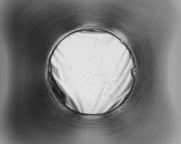 X0000093461296200711091542